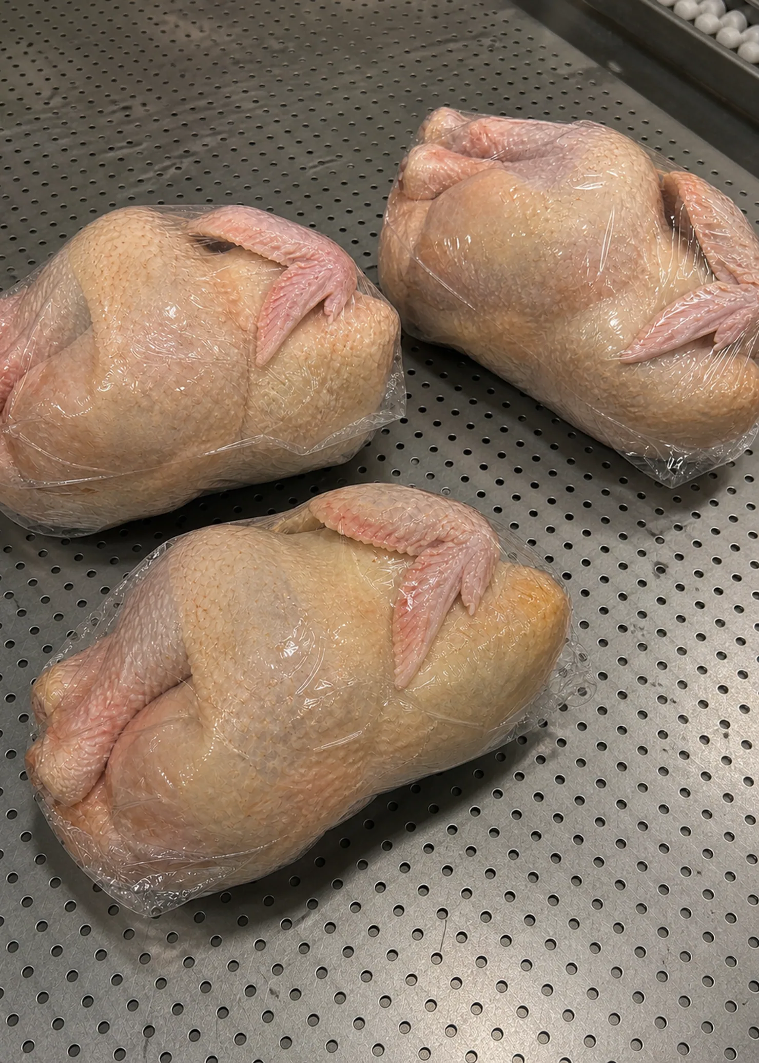 Volaille, Atlas Meat Trading